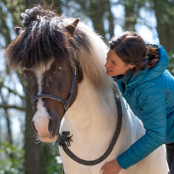 Physiotherapeutin Antonia Farenholtz von Hestacare behandelt ein Islandpferd an der Vorhand